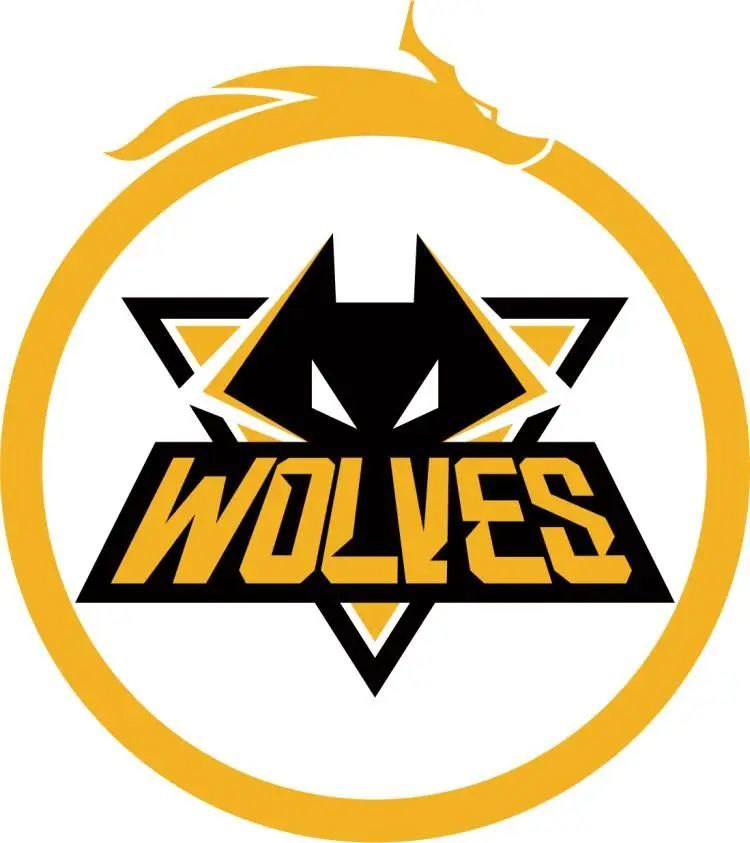 FPX官宣：中单选手Doinb离队