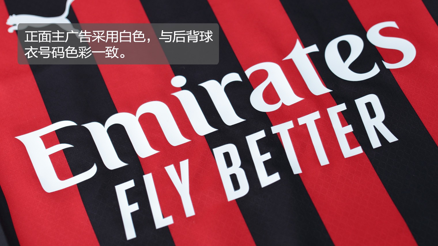 BP开